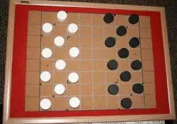 Lilypad Board Game