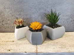 Minimalist Geometric Succulent Planters - 3 styles