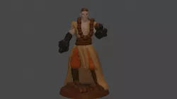 Monk half elf