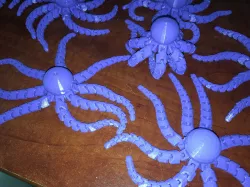 Octopus