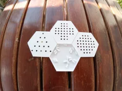 Peg Solitaire