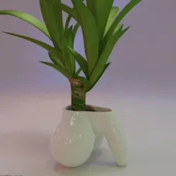 Penis Flower Pot