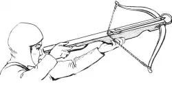 Prime Crossbow Support