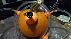 Pumpkin Party Hookah