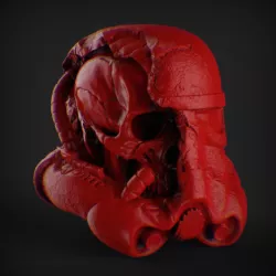 Skull Stormtrooper damaged head