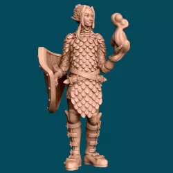 Teuivae, an elven cleric - dnd miniature [presupported]