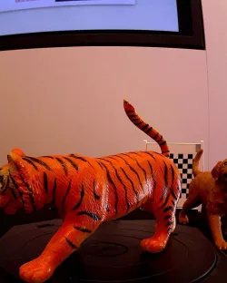 Tiger Tiger