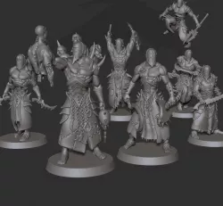 Warrior Squad With Bonus Acolyte / Raider - Cursed Elves