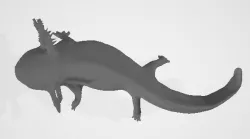 Axolotl