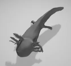 Axolotl