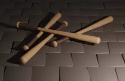 Baseball Bat