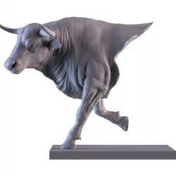 Bull Torso