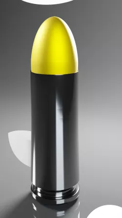 Bullet
