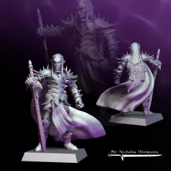 Dark Elf Prince