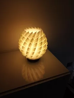 Design flower lamp