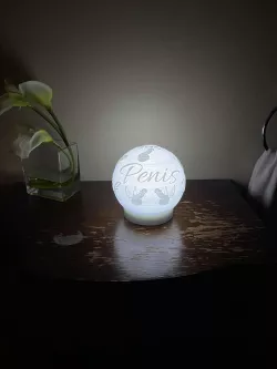 Dick Lithophane Night Light