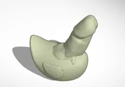 Duck Dick