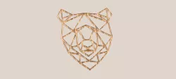 Geometric Bear