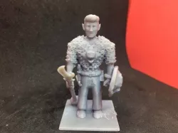 Half Elf Paladin / Warlock