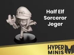 Half Elf Sorcerer Jeger