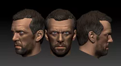 House M.D. -Hugh Laurie