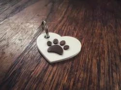 Keychain paw in heart