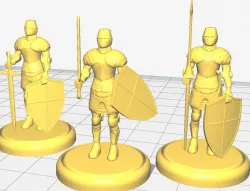 Knights with swords, shields and spears