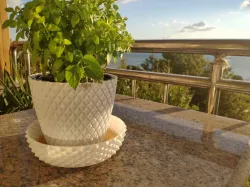 Knurled Crystal Planter