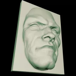 MALE FACE - ANATOMICAL STUDY