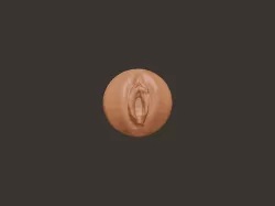 Male masturbator