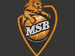 MSB logo