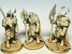 Paladin twins