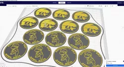 Pokemon Go Community Day #16 coin - Bagon