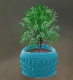 Pot Vase JB