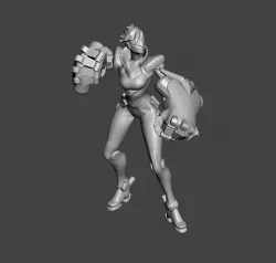 Project VI 3D Model