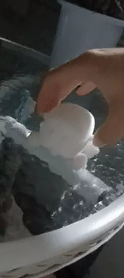 PUI PUI MOLCAR