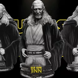 Quin-Gon Jinn Bust - Star Wars 3D Models - Tested and Ready for 3D printing