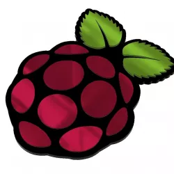 RASPBERRY PI LOGO