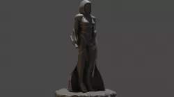 Shadow Rogue Casual