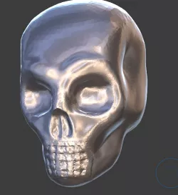 Skull Skull