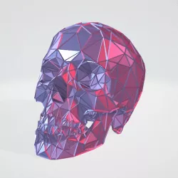 Skull WIREFRAME VORONOI WIREMESH MESH