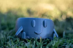 Smiley POT
