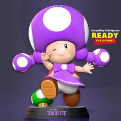Toadette - Super Mario Fanart