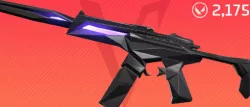 VALORANT SINGULARITY SPECTRE