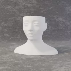 Vase Face