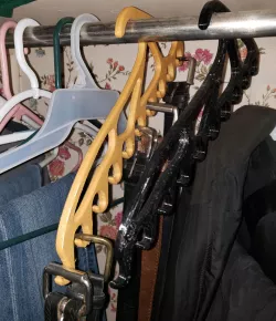 10 Belt Hanger for hanging fashion waist belts from a closet hanging rod