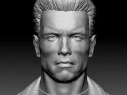 Arnold Shwarzenegger.T-800.Terminator.For 3d print.STL.