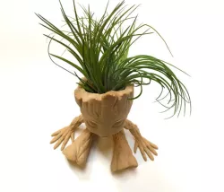 Baby Groot Air Plant Planter