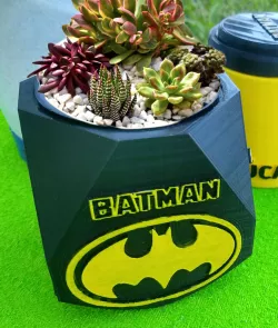 Batman Dried Flower Vase