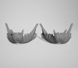 bra